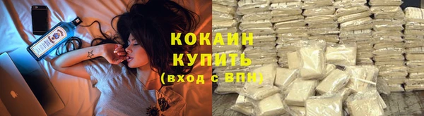 индика Баксан