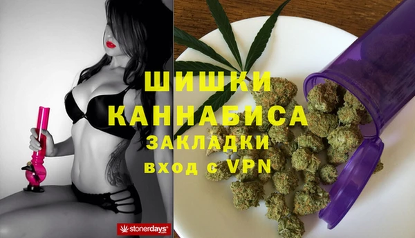 спайс Арсеньев