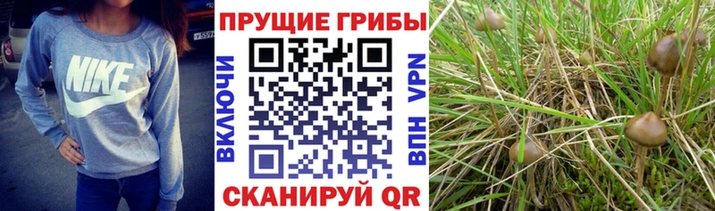 Галлюциногенные грибы Magic Shrooms  Черепаново 